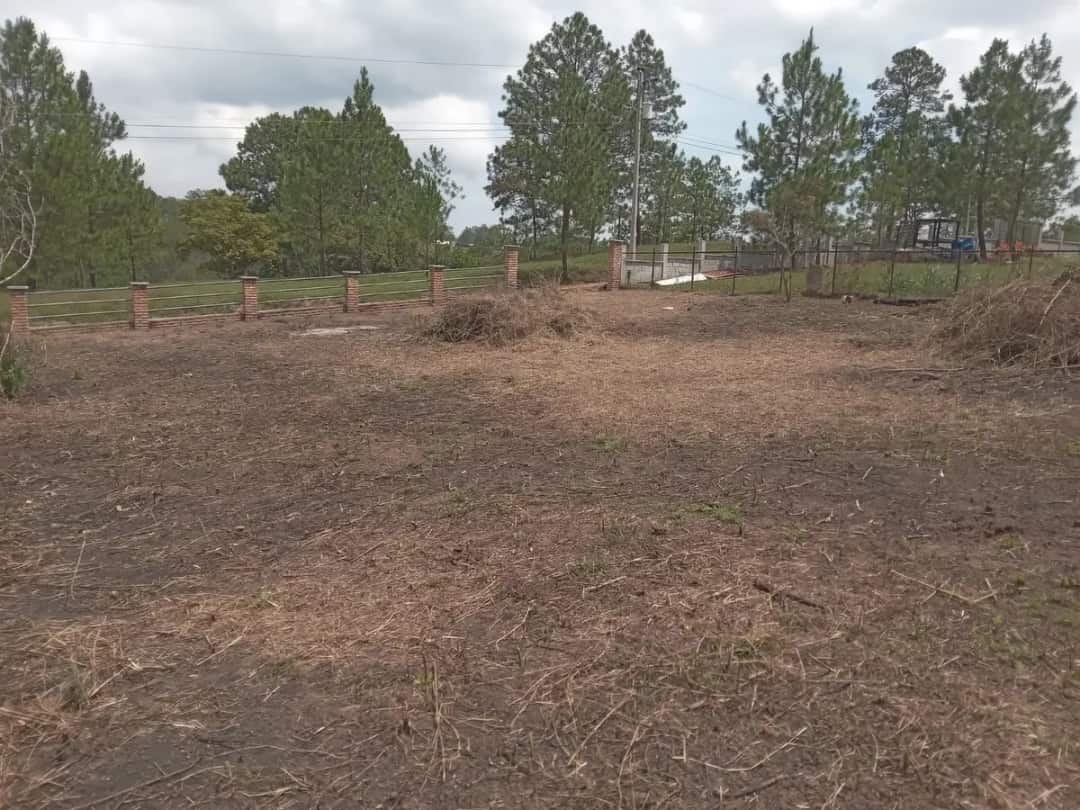Terreno en Venta - Siguatepeque, Municipio Buenas Casas - Siguatepeque