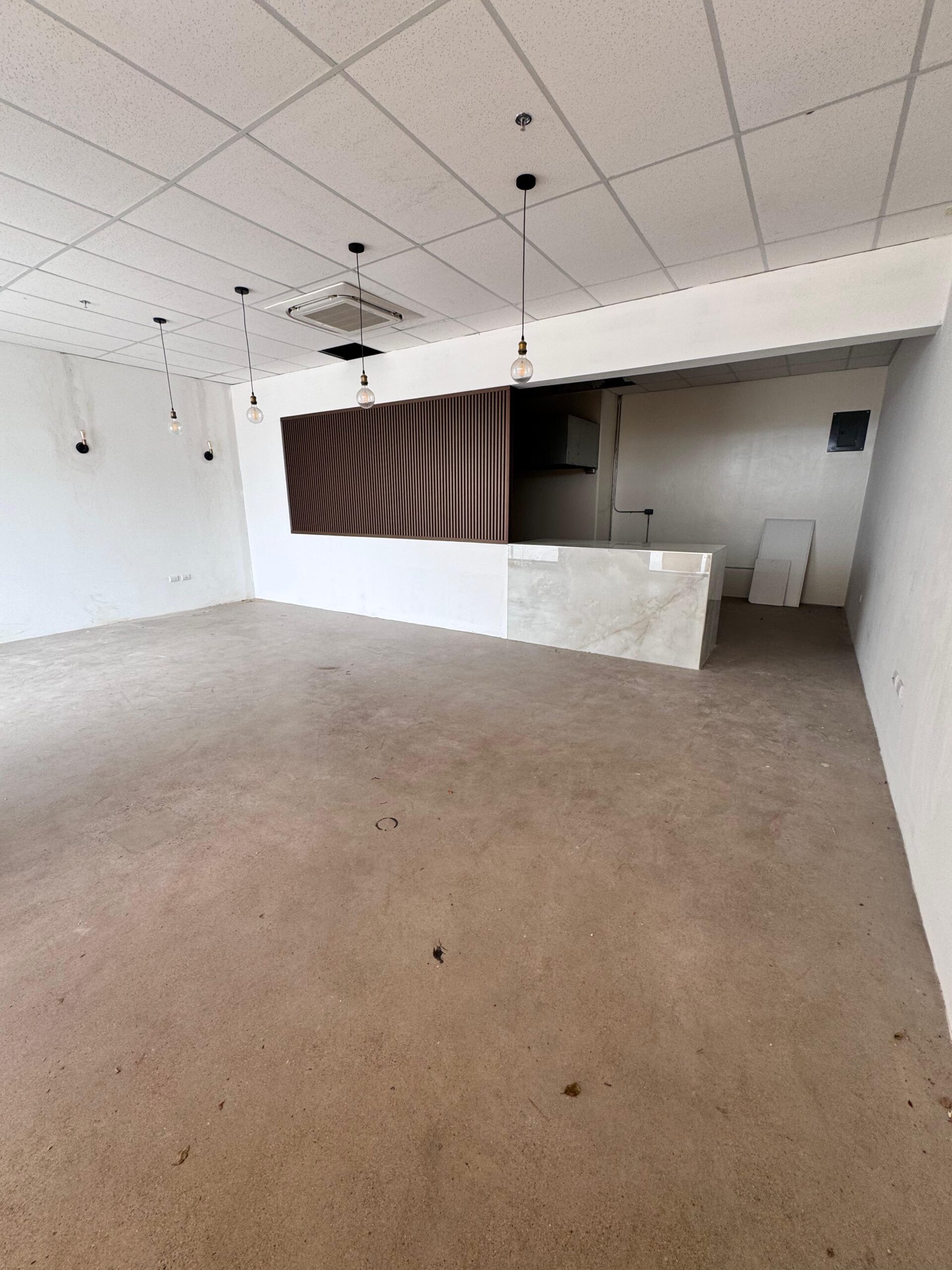 Local Comercial en Renta – ¡El Más Grande de Distrito Artemisa! miniatura 9